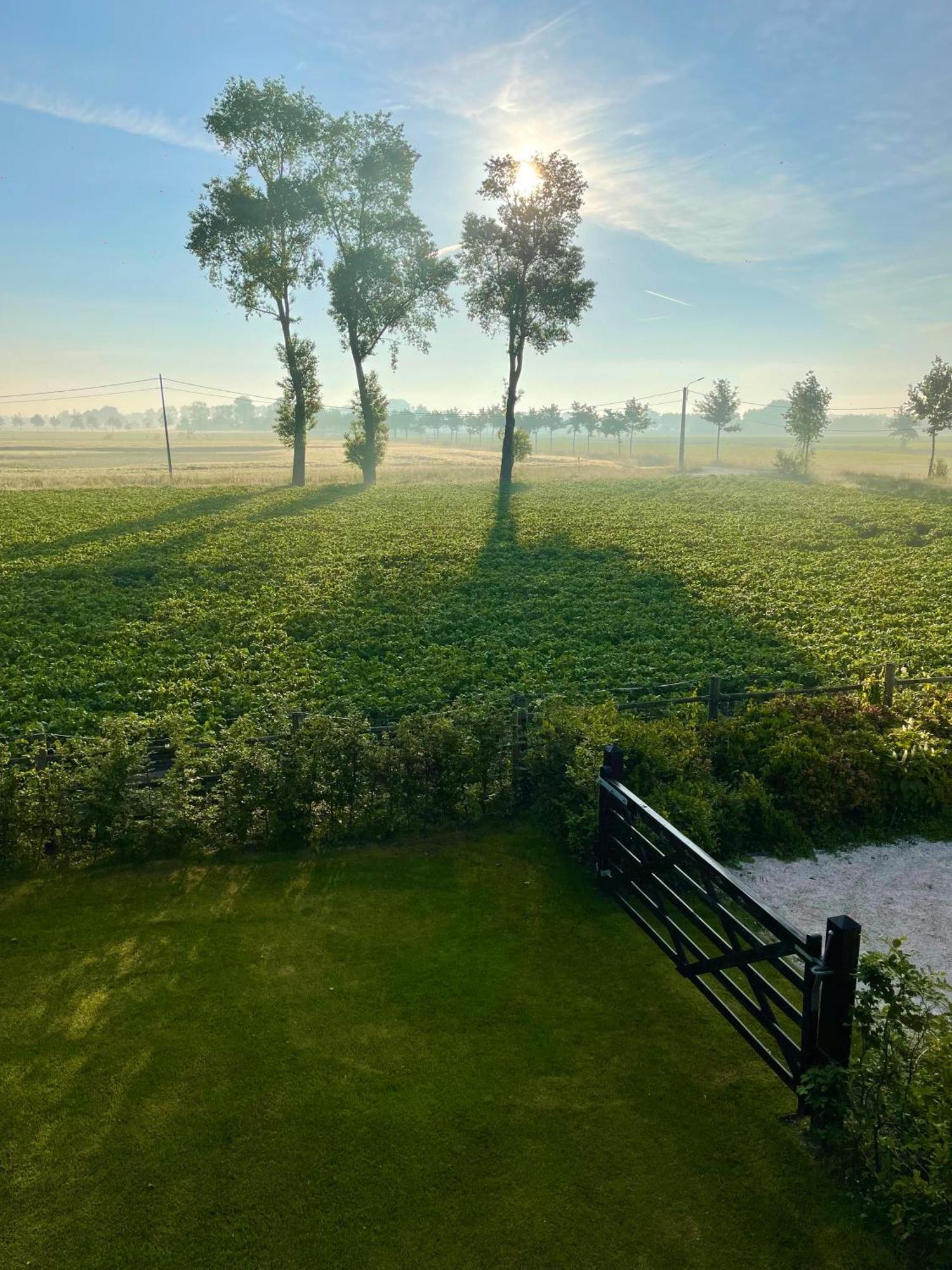 Hoeve La Cascina Дейнзе Екстер'єр фото